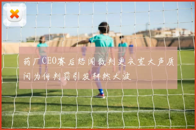 药厂CEO赛后怒闯裁判更衣室大声质问为何判罚引发轩然大波