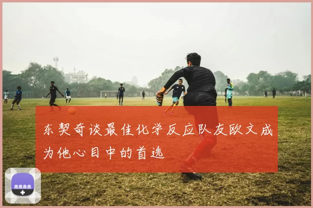 东契奇谈最佳化学反应队友欧文成为他心目中的首选