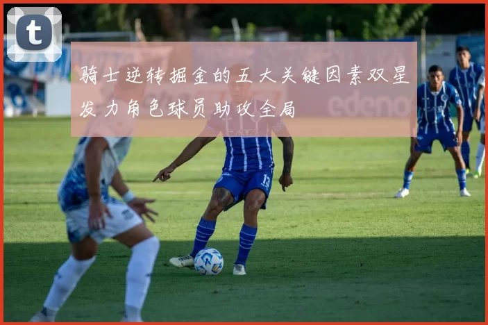 骑士逆转掘金的五大关键因素双星发力角色球员助攻全局