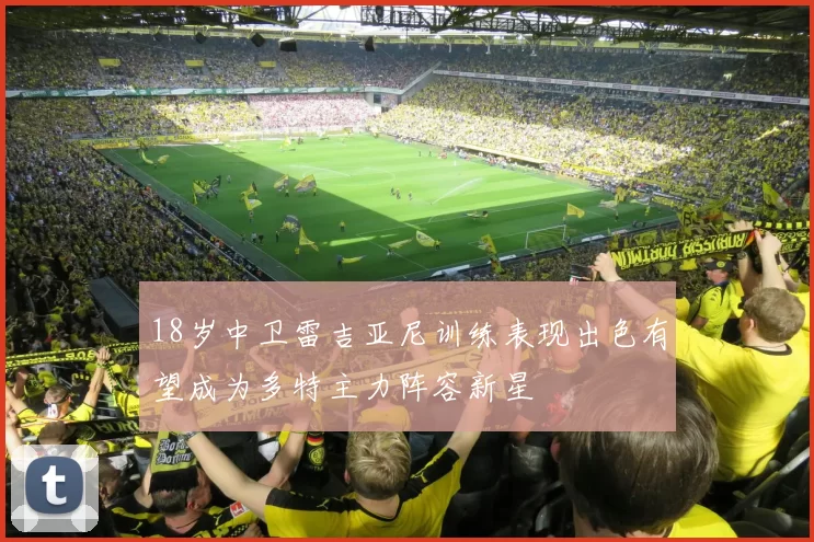 18岁中卫雷吉亚尼训练表现出色有望成为多特主力阵容新星